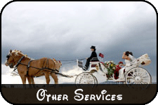 Other Services